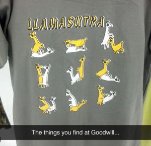 funny-goodwill-llama-shirt-positions
