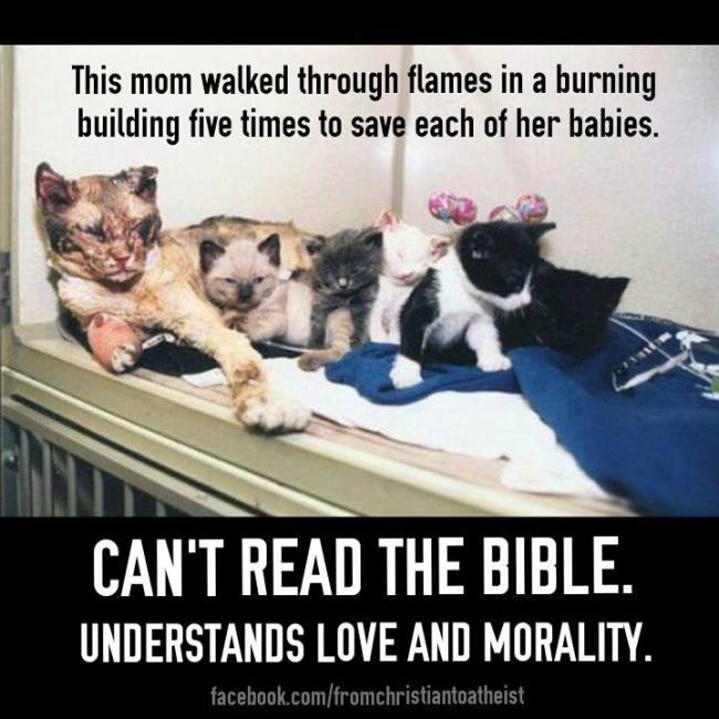 088-These-Cats-are-More-Moral-Than-Bill-Donahue